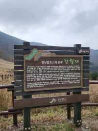 영남알프스의 관문, 가을 억새로 유명한 간월재🍂