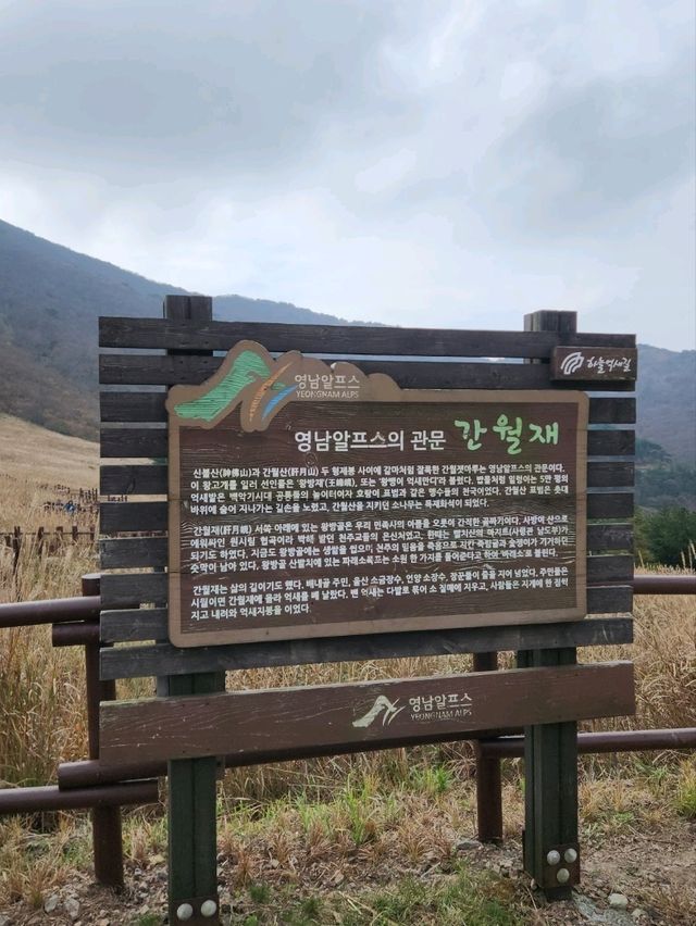 영남알프스의 관문, 가을 억새로 유명한 간월재🍂
