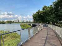 🌿 Escape to Nature: A Perfect Day at Jurong Lake Gardens, Singapore  