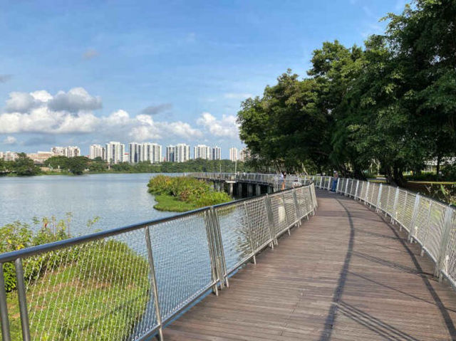 🌿 Escape to Nature: A Perfect Day at Jurong Lake Gardens, Singapore  