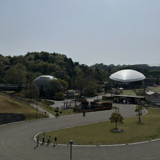 Aichi: A Place to Connect with Nature! Kuragaike Park.