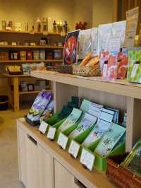 【三重】kikicha cafe 五感で味わう伊勢茶の世界🍵