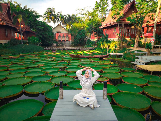มาดูบัว คาเฟ่ - ภูเก็ต