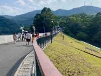 城市中的⛰️陽台山森林公園✨體驗自然風光行程推薦🏞️ 