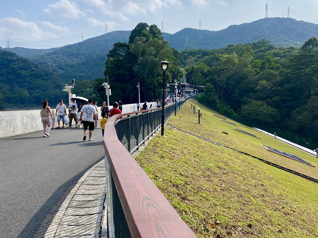 城市中的⛰️陽台山森林公園✨體驗自然風光行程推薦🏞️ 
