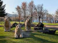 Cherry Blossoms by the Lake: A Spring Trip to Toyako, Hokkaido
