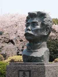 A Spring Pilgrimage: Cherry Blossoms and Lu Xun’s Legacy at Tohoku University