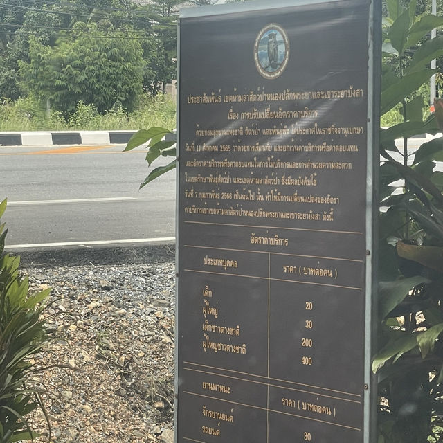 เที่ยวชมนก ดูบัวที่หนองปลักพระยา (นกน้ำ สตูล)