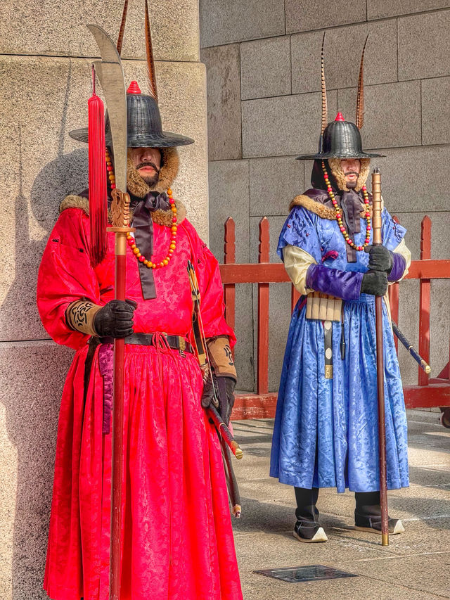 A Royal Winter Stroll: Discovering Gyeongbokgung Palace in December