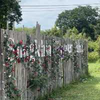 Songkhla Flower Farm สวนดอกไม้แห่งแรกในสงขลา