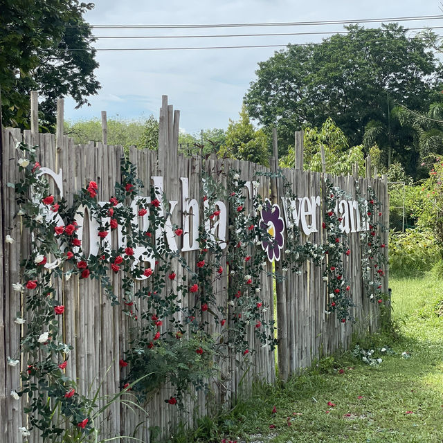 Songkhla Flower Farm สวนดอกไม้แห่งแรกในสงขลา