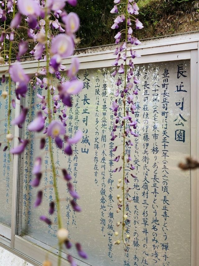 【山口グルメ】蛍街道西ノ市
