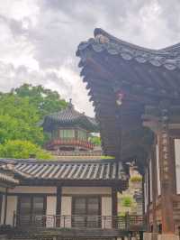 🪴🎐서울 궁궐 청덕궁 연휴 가족과 함께 창덕궁 