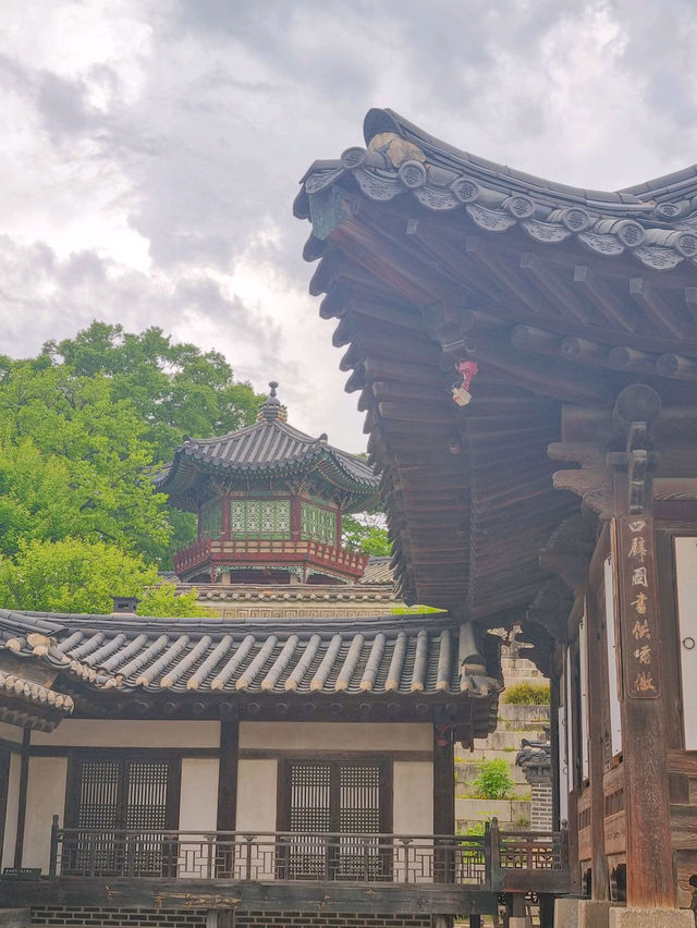 🪴🎐서울 궁궐 청덕궁 연휴 가족과 함께 창덕궁 