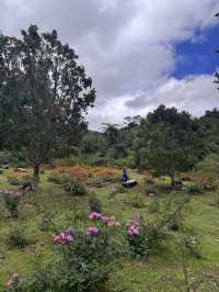 Kundasang!