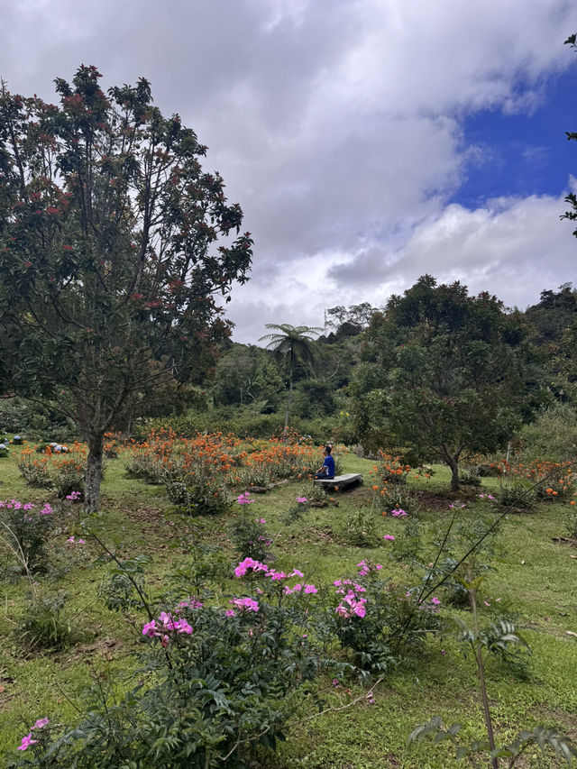 Kundasang!