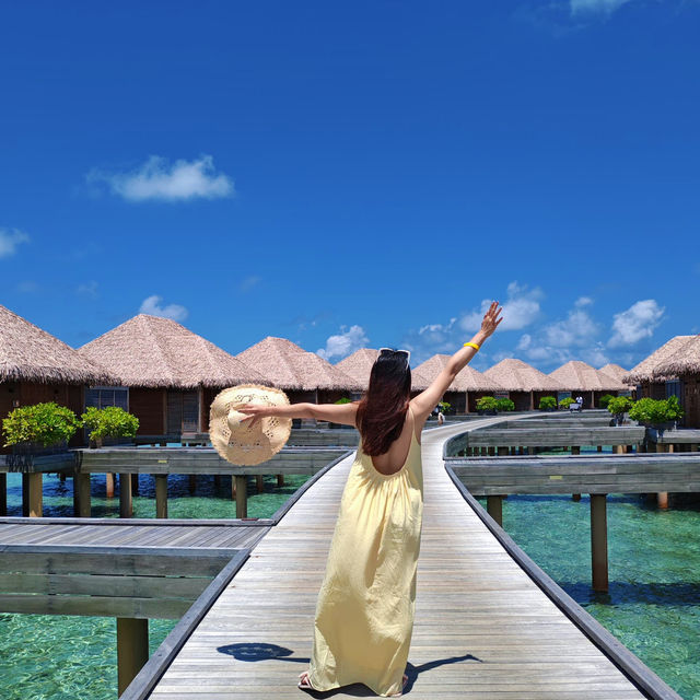 🇲🇻Maldives-Where dream becomes reality 