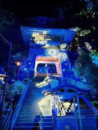 【最強神社3選】2025年は弁財天様の年✨絶対に行きたい神社『3選』はこちら!!