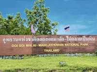 ฟอสซิลไม้กลายเป็นหินที่ใหญ่ที่สุดในเอเชีย