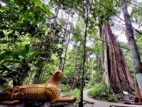 🕳️ Piyamit Tunnels: A Backpacker’s Guide to Betong’s Secret Underground World!  