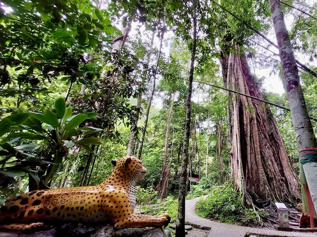 🕳️ Piyamit Tunnels: A Backpacker’s Guide to Betong’s Secret Underground World!  