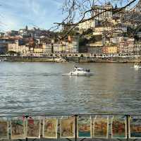 Crossing Stories & Skylines: A Day by the Luís I Bridge