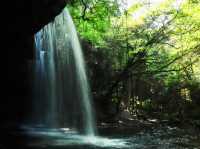 幻想的な「水のカーテン」  〜熊本・鍋ヶ滝〜