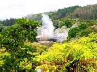#波胡圖間歇噴泉Pohutu Geyser -紐西蘭羅託魯瓦