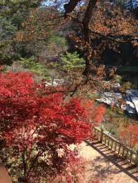 설악산 단풍