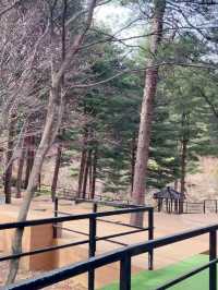 산책하기 좋은 힐링 야외데이트🌲