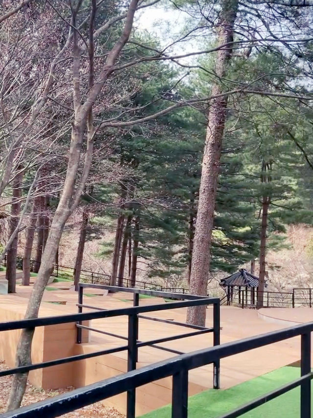 산책하기 좋은 힐링 야외데이트🌲
