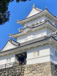 A Gentle Walk Through Odawara – Castles, Coastlines & Sunset Calm