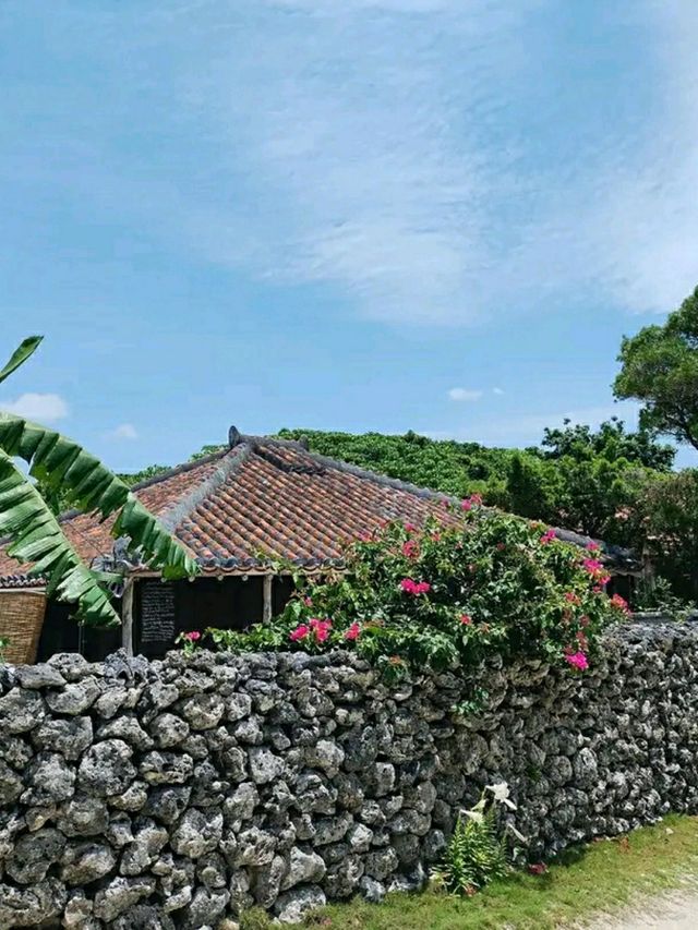Okinawa: Japan’s Tropical Paradise of Culture and Coastlines