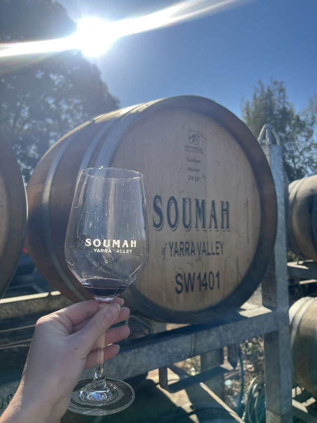 Yarra Valley Wine Tour