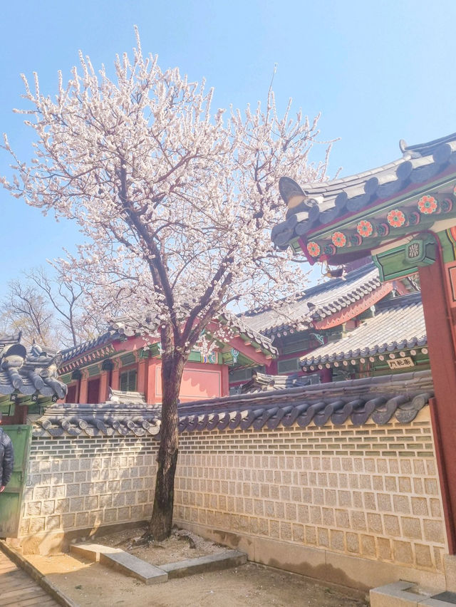 💕청덕궁 가족과 함께 거닐기 좋은 곳 🌲