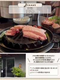 🇰🇷🌳ソウルの森で1日！穴場巡り編✨