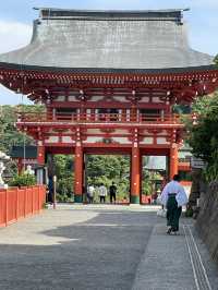 🏮九州JR鐵道迷週遊⛩️ 