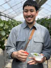 藤枝市で子連れプラン🍓🌳