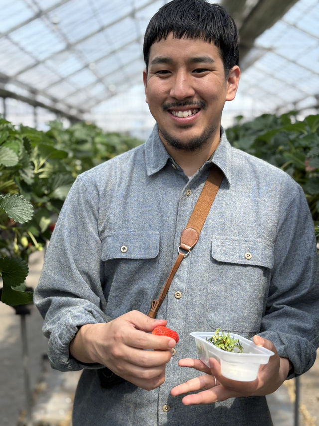 藤枝市で子連れプラン🍓🌳