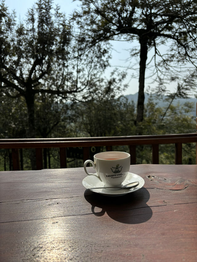 【スリランカ・ヌワラエリヤ】  紅茶好き必訪！ペドロティーファクトリーで感じる、五感で味わうセイロンティー体験🍃