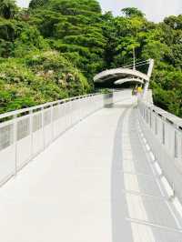Skywalk Trail