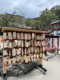 แหล่งท่องเที่ยวฟุกุโอกะ Dazaifu Tenmangu 🇯🇵