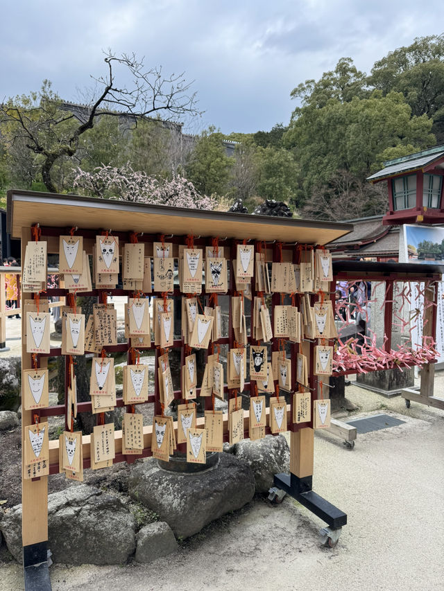 แหล่งท่องเที่ยวฟุกุโอกะ Dazaifu Tenmangu 🇯🇵