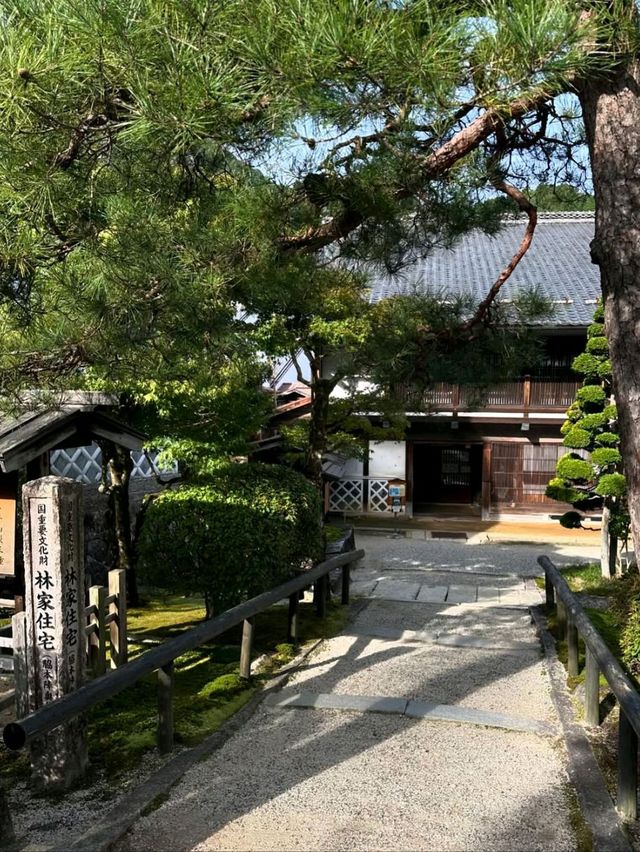Peace, Pines & Edo Vibes