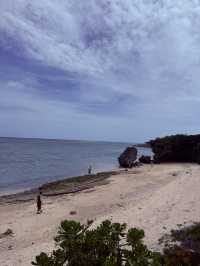 沖繩｜再遠都值得跑一趟 美麗海水族館的黑潮之美