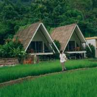 รีสอร์ทท่ามกลางทุ่งนาสีเขียว บรรยากาศดีสุดๆ 🍃🌾