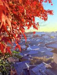岡山｜守護倉敷400年宗像三女神 與延年益壽的還曆坂61階