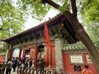 🏮 端午遊北京國子監街｜走進書香巷弄，感受老北京的文化韻味