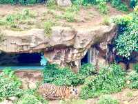 ［新竹旅遊］新竹市立動物園-親子共遊好去處🐒