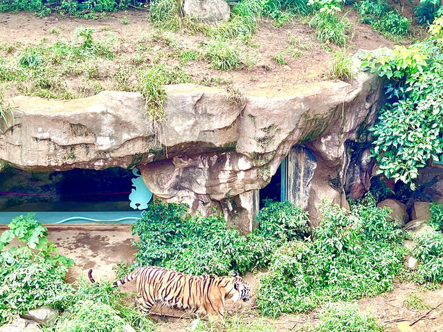 ［新竹旅遊］新竹市立動物園-親子共遊好去處🐒
